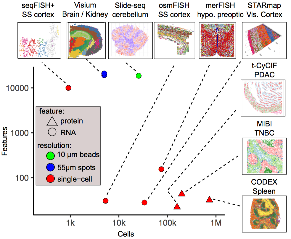 Spatial Expression From Single Cells To Tissue Systems